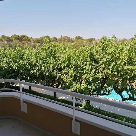 Διαμέρισμα Dalia *